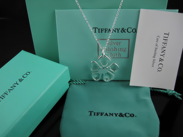 Tiffany&Co Necklaces 123